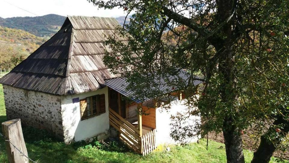 Household Babovic - Old House Miljan'S Valley Andrijevica Eksteriør billede
